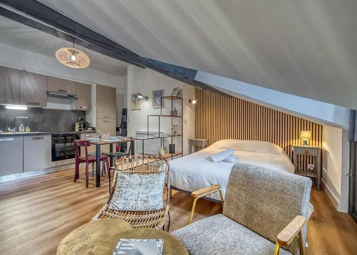 Le Strasbourg - Centre - Climatisation Apartamento Grenoble