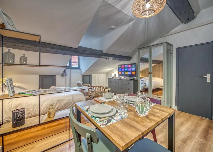 Le Strasbourg - Centre - Climatisation דירה