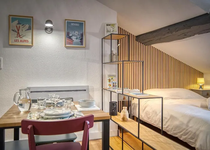 Le Strasbourg - Centre - Climatisation גרנובל