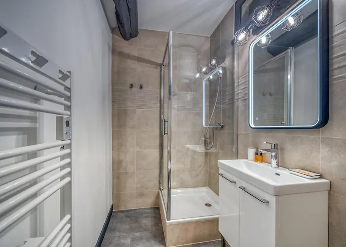 Le Strasbourg - Centre - Climatisation Appartement Grenoble